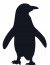 portrait-pingouin.jpg