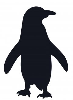 portrait-pingouin.jpg