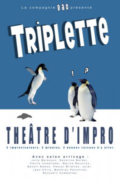 Affiche2-Triplette.jpg