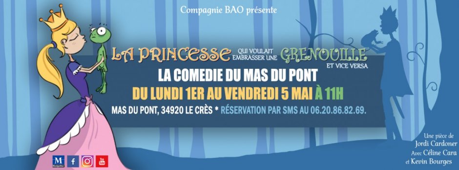 la princesse qui voulait embrasser une grenouille et vice versa